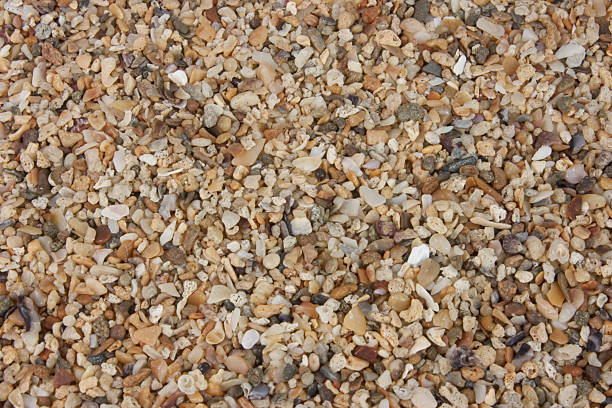 Shell Grit stock photo