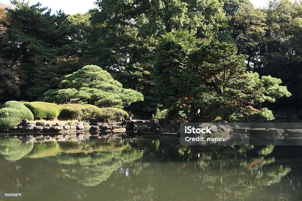 Tokyo garden Autumn Stock Photo