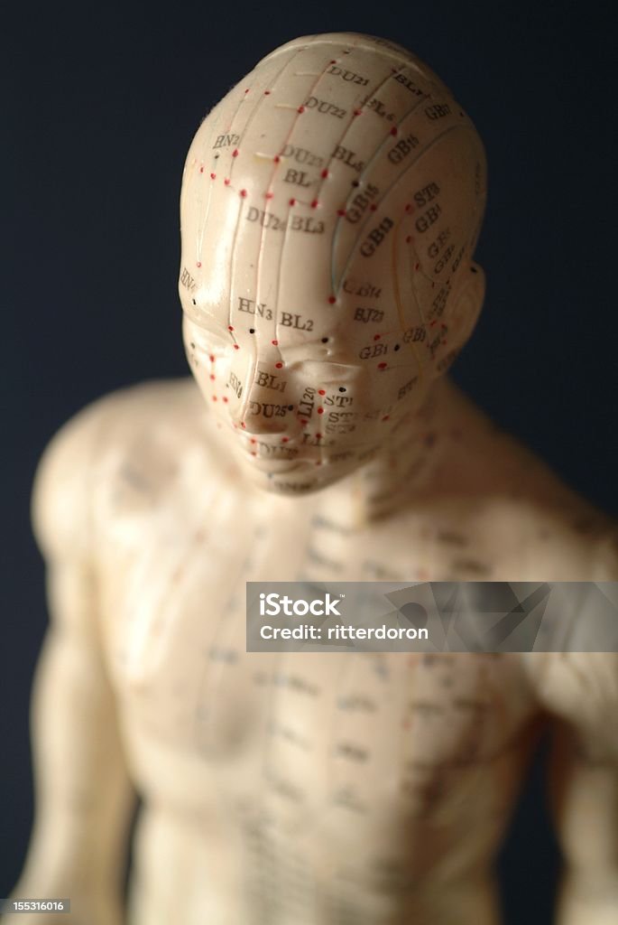 Acupuntura (de cabeza y el cuerpo - Foto de stock de Acupuntura libre de derechos