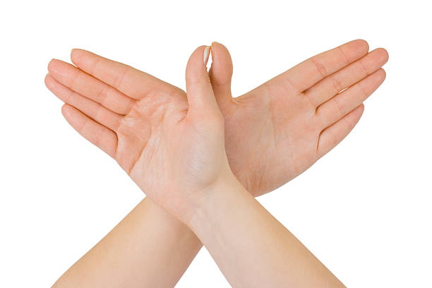 istock Bird made of hands 155316086