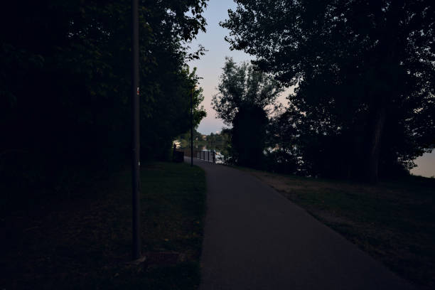 istock Path in a park that leads to a bridge  over a lake at sunset 1553163269