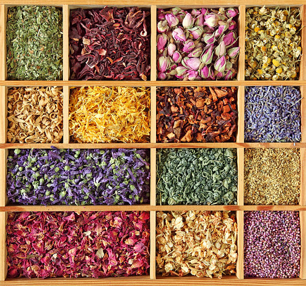 assortimento di tè secco - lavender mint tea foto e immagini stock