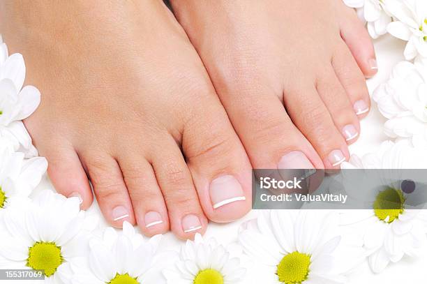 Flowers Around Beautiful Female Feet Stock Photo - Download Image Now - Adult, Alternative Therapy, Beautiful Woman
