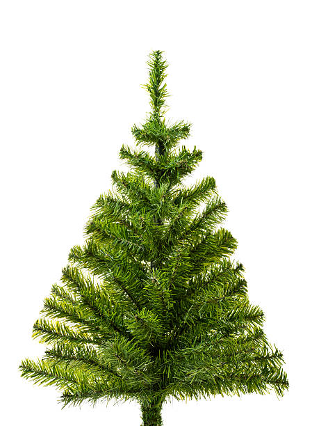 istock Small Christmas tree ready to decorate 155317762