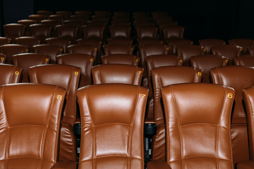 Flash photography of a row of brown leather cinema seats.