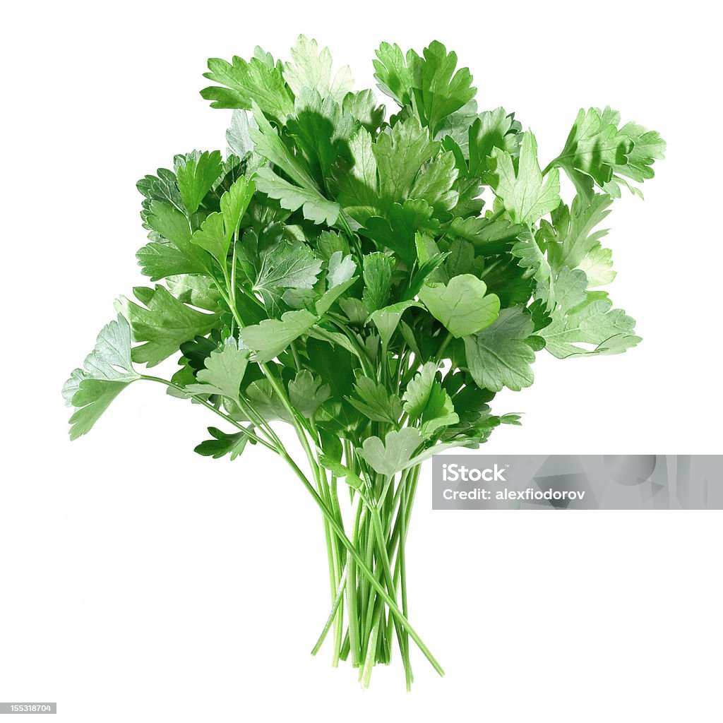 Multiple stems of fresh picked parsley on white Parsley bunch on white background (isolated). Bunch Stock Photo