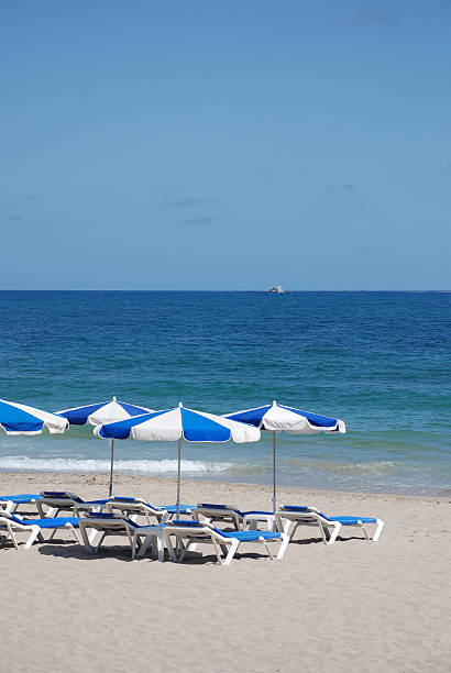 istock Parasols on the beach 155319118