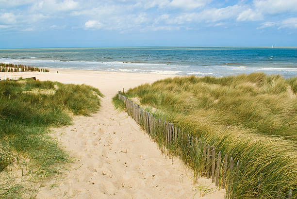 istock Sandy path to beach with sand dunes on the sides  155319374
