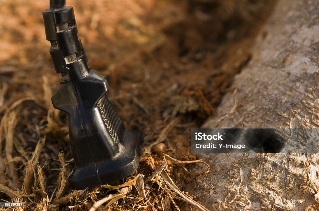 Taking electricity from nature Plug plugged to tree Air Pollution Stock Photo