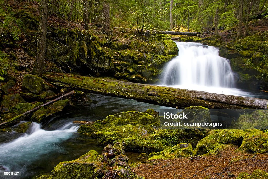 Water Cascading over Rocks Whitehorse Falls - Umpqua Scenic Byway, Southern Oregon   Oregon - US State Stock Photo