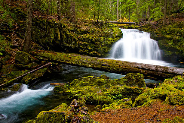 Oregon Rocks Water 360+ Umpqua River Oregon Stock Photos, Pictures & Royalty-Free Images ...