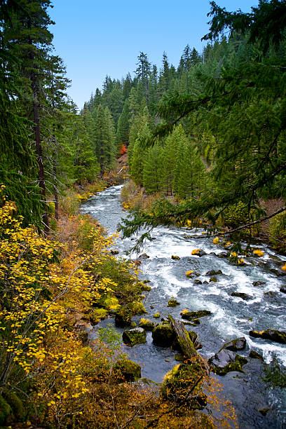 Scenic Rogue River-Oregon - foto de acervo