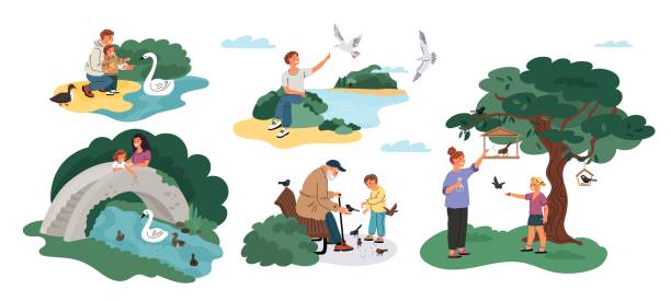 People feed birds. Happy parents and kids pour grains to pigeons and sparrows. Outdoor walk. Park pond with ducks. Persons give crumbs to seagulls and swans. Grandparent with child. Garish vector set