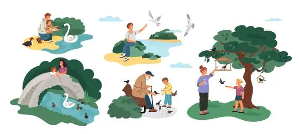 Vector illustration of People feed birds. Happy parents and kids pour grains to pigeons and sparrows. Park pond with ducks. Persons give crumbs to seagulls and swans. Grandparent with child. Garish vector set