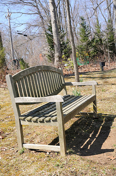 Bench in a park stock photo