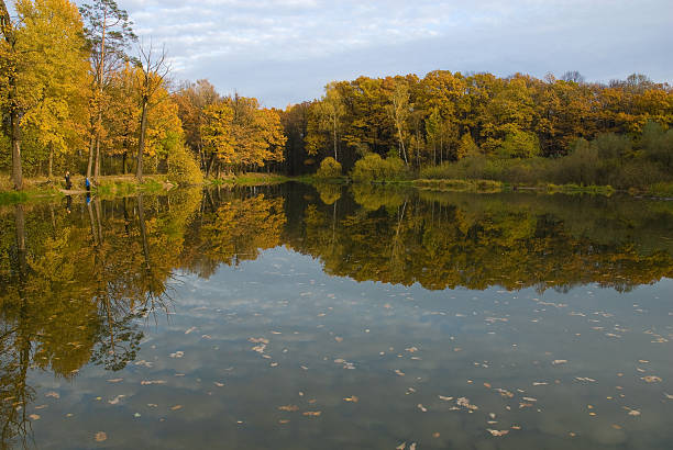 Landscape stock photo