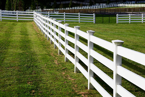 istock White Horse Fence in the Sun 155321491