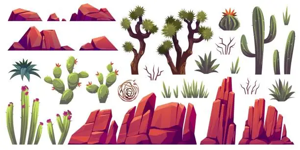 Vector illustration of Desert elements. Cartoon stones of different shapes, plants of arid zones, succulents, cacti and tumbleweed, canyon rocks, exotic landscape objects, solid cliffs, bare trees tidy vector set