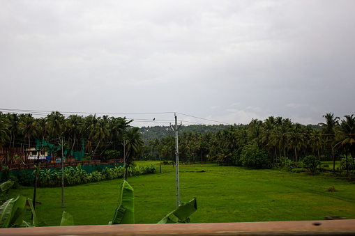 Beautiful view of the coconut trees with palm trees  in kottakkal, Kerala, India