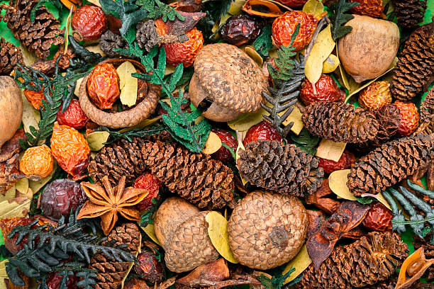 istock Holiday/Seasonal Potpourri Background 155321582