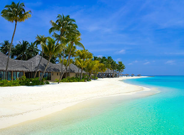 istock Beach bungalows on a tropical island 155321608