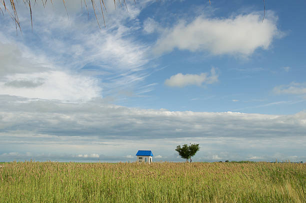 A small guard house at Zhalong Nature Reserve stock photo