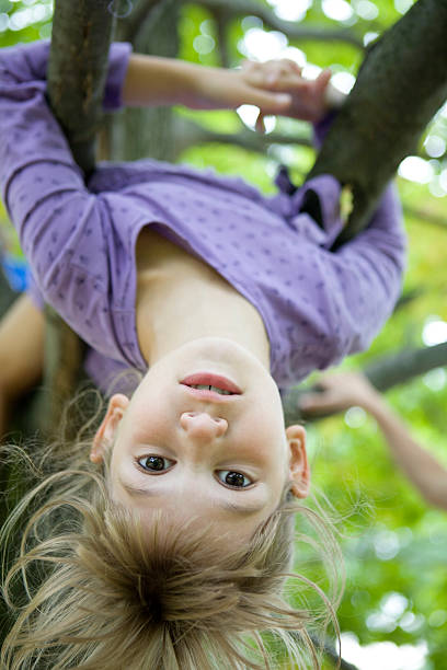 istock Little girl hang from  tree in the backyard 155323042