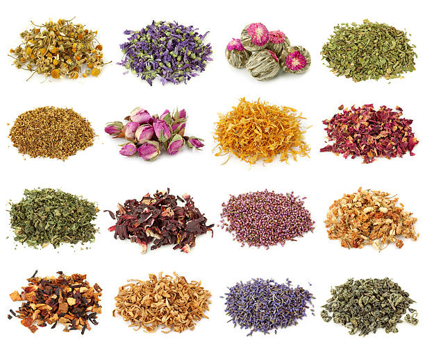 flores secas y té de hierbas - tea jasmine jasmine tea chinese tea fotografías e imágenes de stock