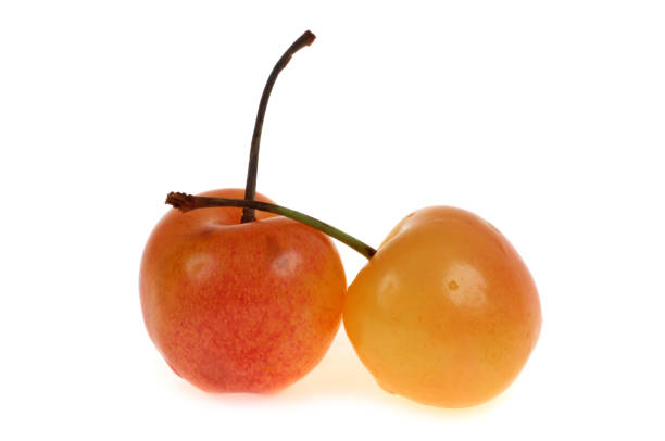 istock Bigarreau cherries isolated 1553232862