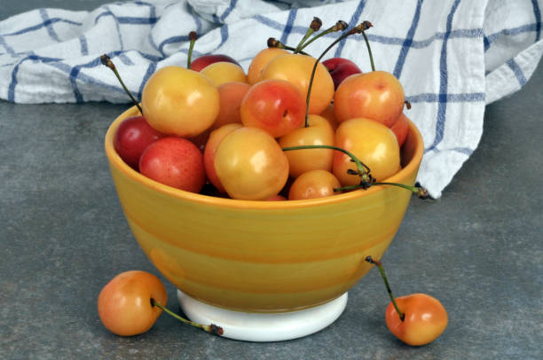 istock Bowl of bigarreau cherries 1553232864