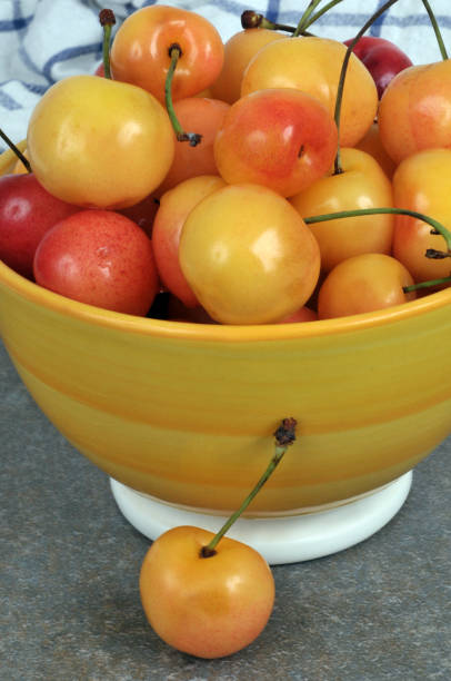 Bowl of bigarreau cherries