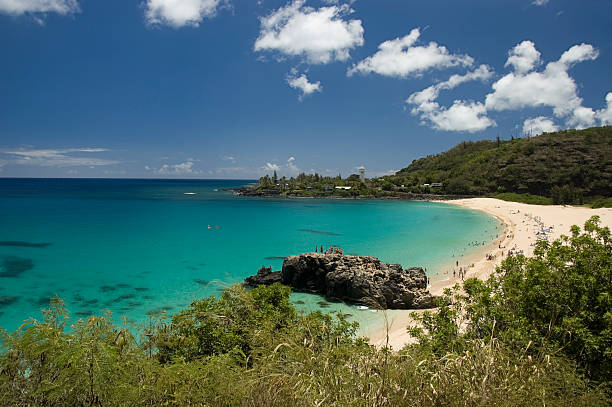 istock Waimea Beach in Oahu, Hawaii. 155323418