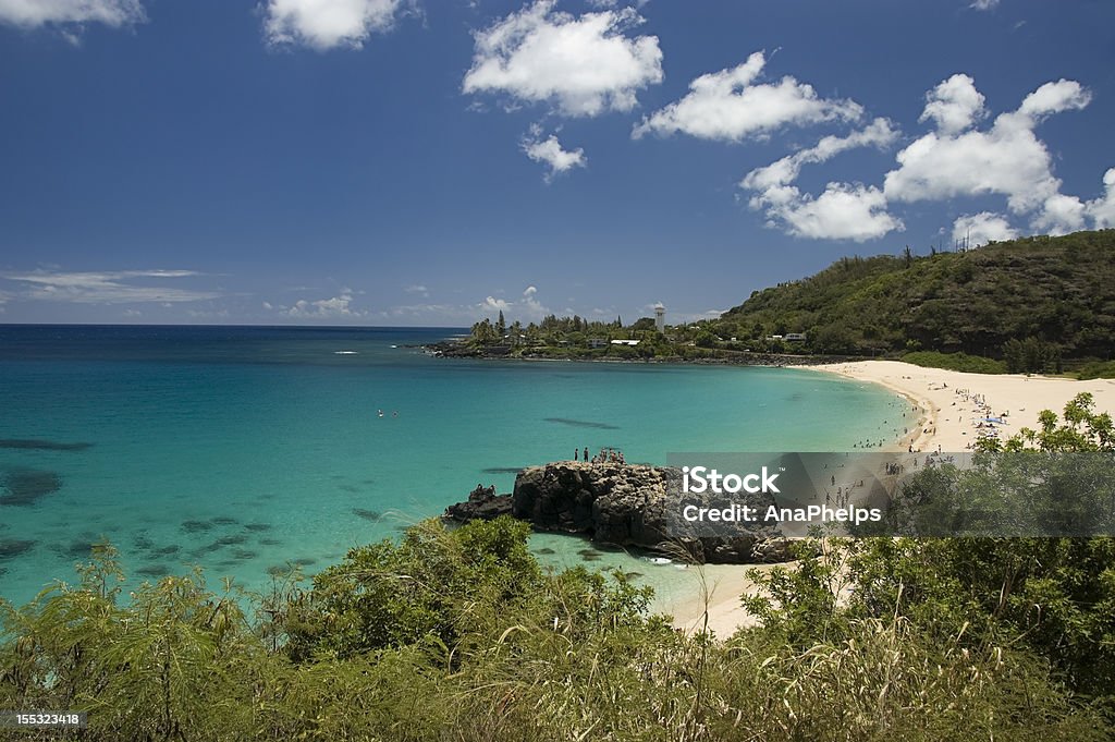 Waimea Beach w Oahu, Hawaje. - Zbiór zdjęć royalty-free (Północne Wybrzeże - Oahu)