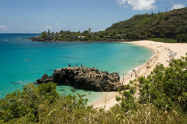 istock Waimea Beach in Oahu, Hawaii. North Shore 155323419