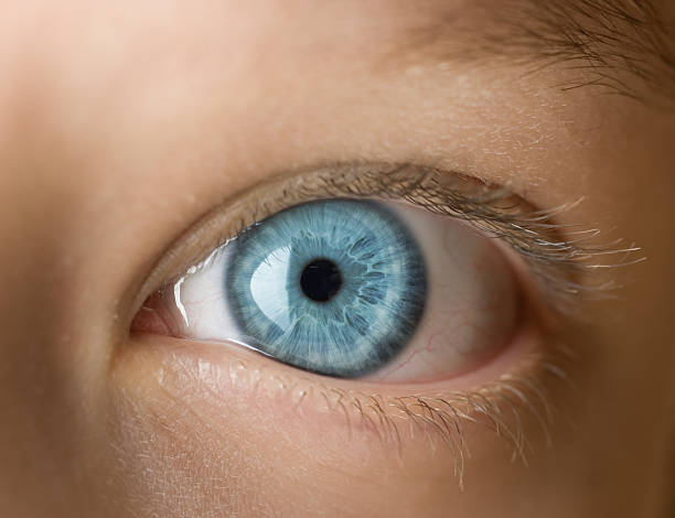 istock Eye of the child 155323934