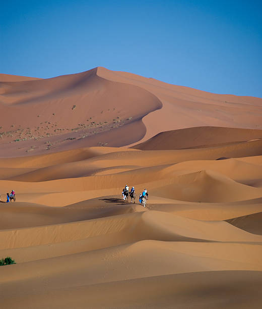 istock Sahara desert in Morocco 155324246