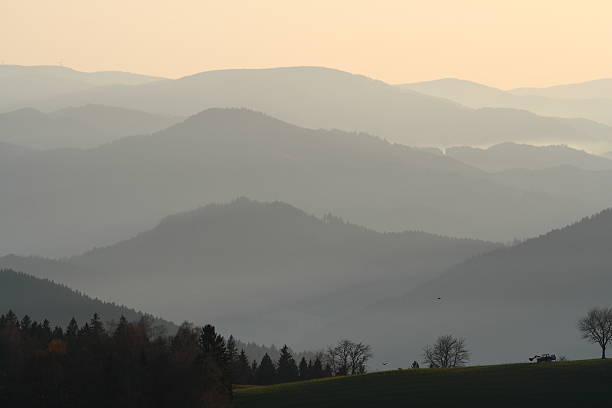 À noite - foto de acervo