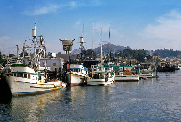 Harbor Hut and Boats, Morro Bay, 1974 The tower for the timeless Harbor Hut restaurant is seen over the boats crowded against the dock at Morro Bay, California.   hearkencreative stock pictures, royalty-free photos & images