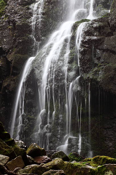 cascata - foto de acervo