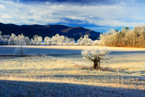 WINTER MORNING, CADES COVE, GREAT SMOKY MOUNTAINS NATIONAL PARK, tennessee  