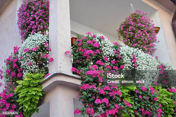 Geraniums Auf Dem Balkon Stockfoto und mehr Bilder von Balkon - Balkon, Pflanze, Blume