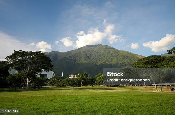 Photo libre de droit de Parque Del Este banque d'images et plus d'images libres de droit de Avila - Avila, Caracas, Venezuela