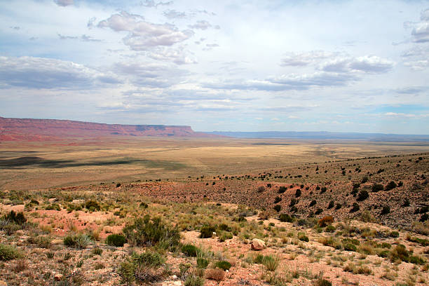 istock Grand Canyon National Park, USA 155326312
