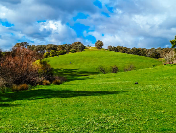 Victorian Rural Country Landscape in Australia