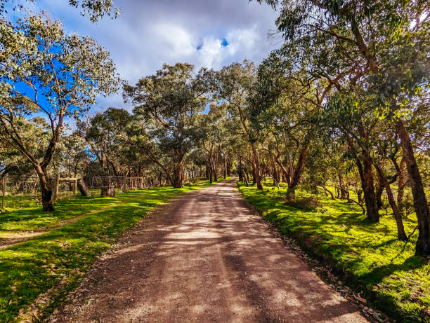 Victorian Rural Country Landscape in Australia
