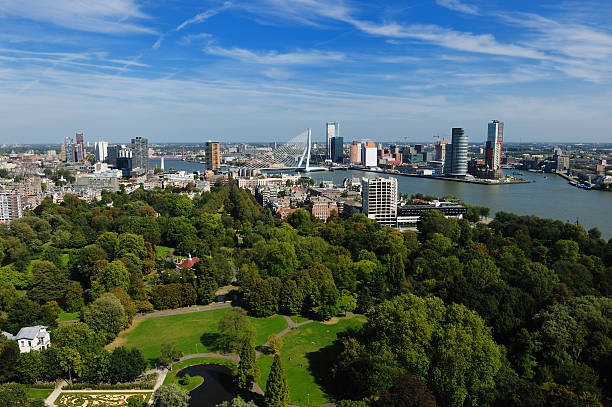 istock aerial view of  Rotterdam 155326528