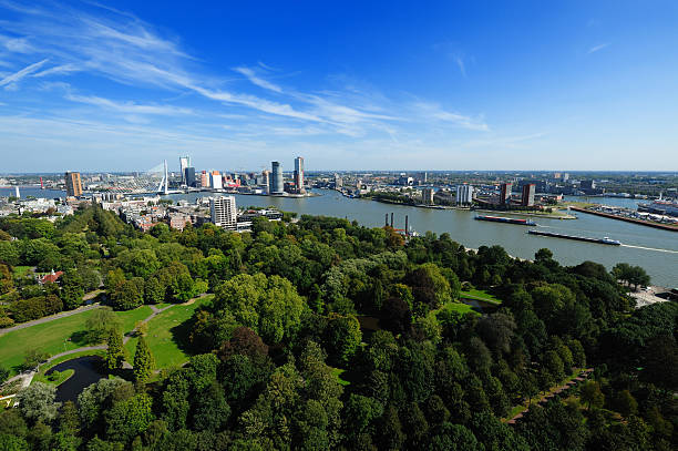 istock aerial view of  Rotterdam 155326530