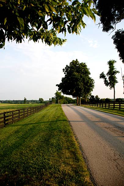 istock Kentucky Country Road 155326533