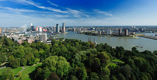 istock aerial view of  Rotterdam 155326536