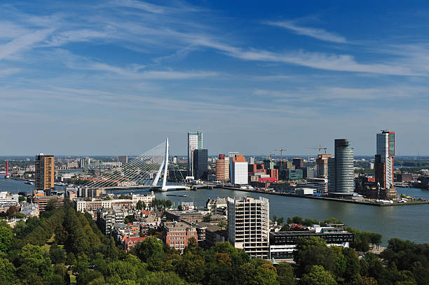 istock aerial view of  Rotterdam 155326594